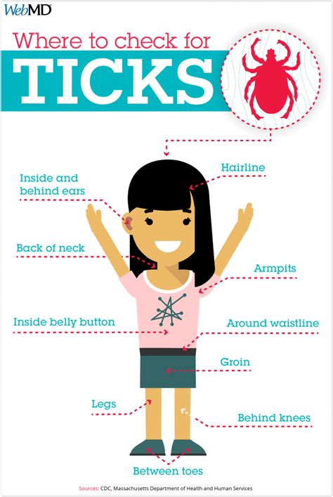 Prevent Tick Bites – Community Health Council of Lebanon County