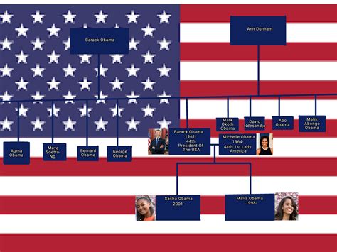 Family Tree Of Barack Obama : r/UsefulCharts