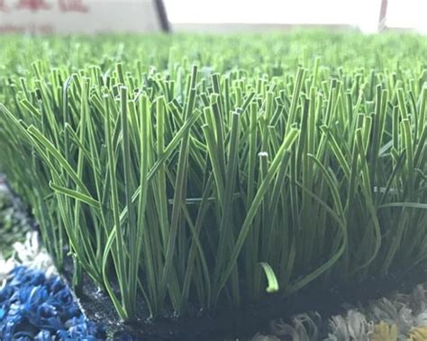 Wholesale Low Maintenance Soccer Field Grass Manufacturer and Supplier ...