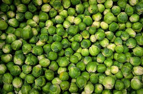 14 Best Brussels Sprout Varieties to Grow at Home (with Pictures ...