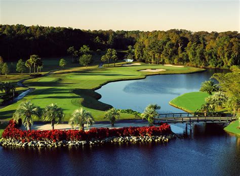 Disney’s Palm Golf Course Orlando Florida | Golf courses, Florida golf courses, Golf course reviews