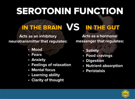 Could You Have A Serotonin Imbalance? – Natural Stacks