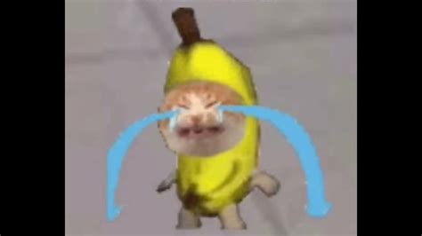 Banana Cat Crying Meme Template | sound effect - YouTube