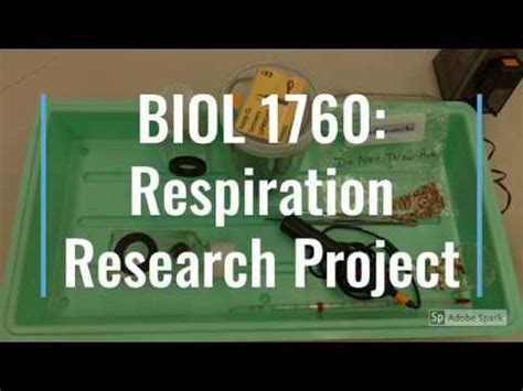 Cellular Respiration Experiment Part 2 - YouTube