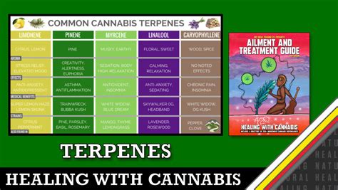 Cannabis and Terpenes - Medicine Wheel Natural Healing