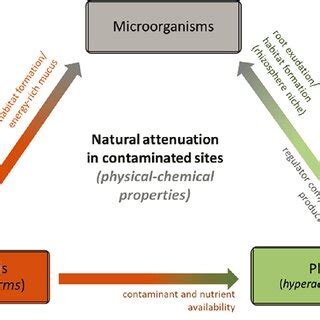 The hypothesis of synergic relationships between... | Download ...