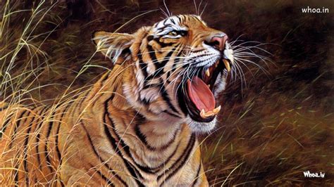 Close Up Of Tiger Roaring Wallpaper