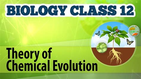 Theory of Chemical Evolution - Origin and Evolution of Life - Biology Class 12 - YouTube