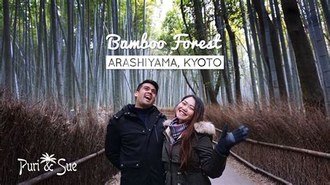 Winter in KYOTO'S BAMBOO FOREST | Arashiyama, Kyoto - YouTube