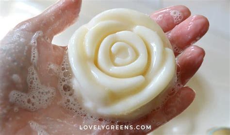 Gentle Shea Butter Face Soap Recipe for Beautiful Skin