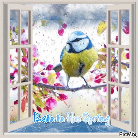 Rain in the Spring New Month, Rainy Days, Blessed, Birds, Wonder, Spring, Blessings, Months ...