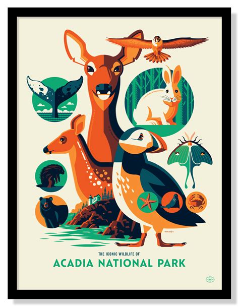 Iconic Wildlife of Acadia National Park Poster – Fifty-Nine Parks