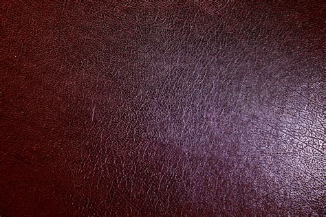 Leather Texture Free Stock Photo - Public Domain Pictures