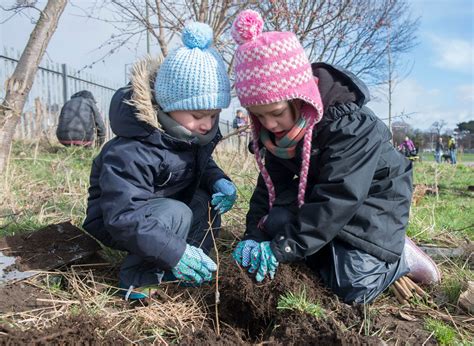 The Woodland Trust want more trees to be planted in Dorset as they handout free saplings to ...