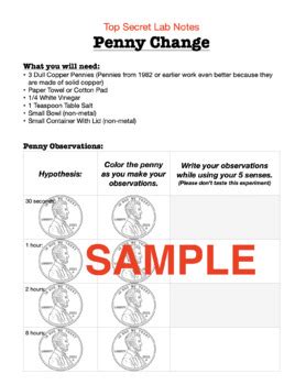 2-in-1 Shiny Pennies Science Experiment Journal & Step-By-Step Instructions