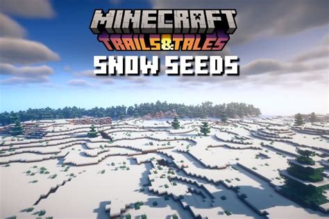 6 Best Minecraft 1.20 Snow Biome Seeds (July 2023)