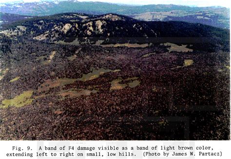 Teton Wilderness, WY F4 Tornado – July 21, 1987 – Tornado Talk