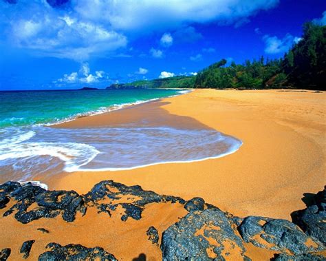 Fotos de paisajes naturales | Hawaii beaches, Kauai vacation, Hawaii pictures