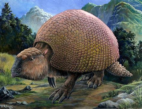 Glyptodon Facts and Figures