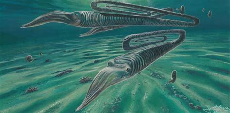 Antarctic fossils reveal creatures weren't safer in the south