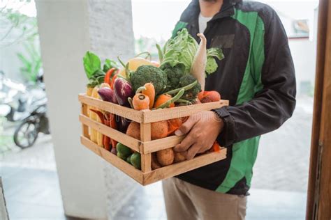 Hand Delivering Groceries Shopping Stock Photo - Image of green, crate ...