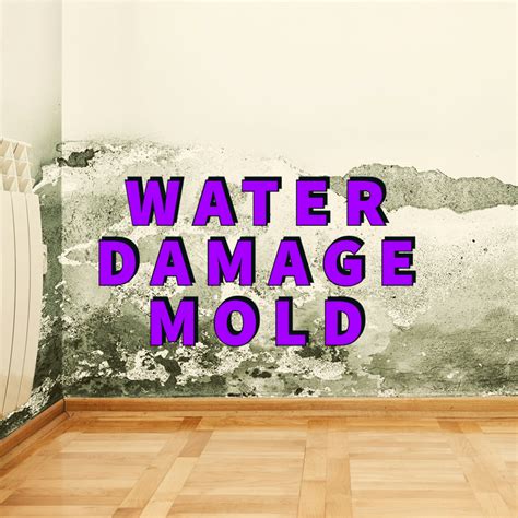 Water Damage Mold: 8 Foolproof Steps For Effective Recovery