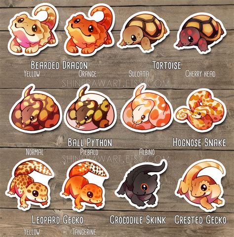 Cute Reptiles Sticker Set – Shinepaw Design