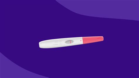 Fertility labs, explained: What your fertility test results mean