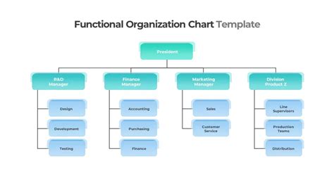 Functional organizational structure – Artofit