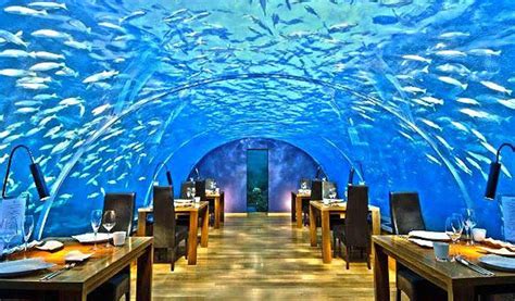 India’s largest tunnel aquarium ‘Aqua Marine Park’ to come up in ...