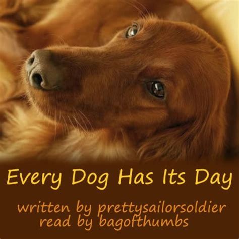 Stream Every Dog Has Its Day from bagofthumbs | Listen online for free ...