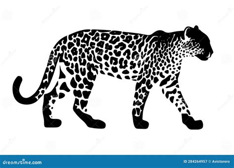 Jaguar Silhouette Isolated on White Background Stock Vector - Illustration of cheetah, graphic ...