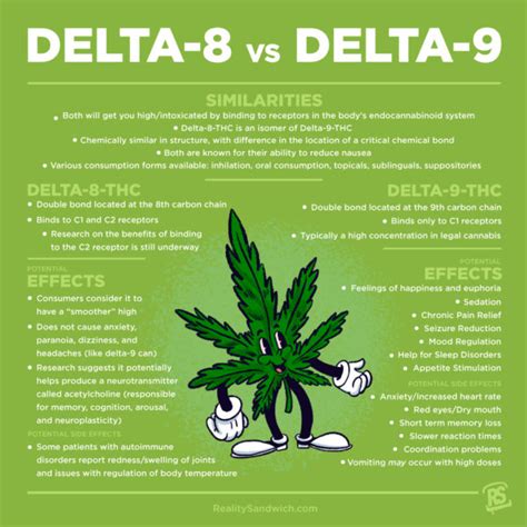 The Ultimate Guide to Delta-8-THC | Reality Sandwich