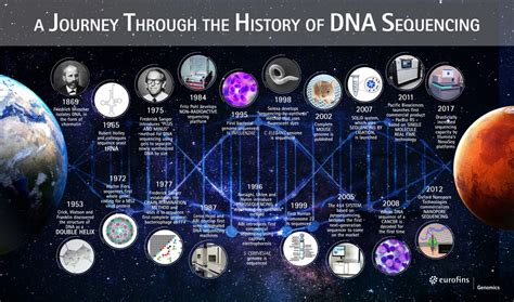 Dna History Timeline Activity Answers