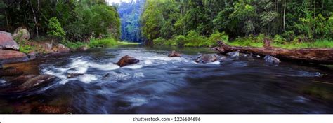 South Johnstone River: Over 21 Royalty-Free Licensable Stock Photos ...