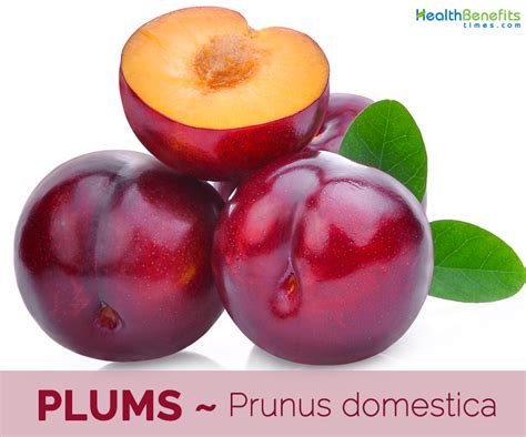 Plums facts and health benefits