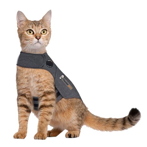 Buy Thundershirt Classic Cat Anxiety Jacket, Heather Gray, Medium (9 to 13 lbs), THU-009 Online ...