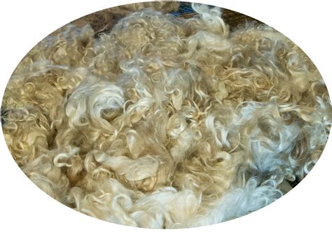 Angora Goat Mohair – by the Pound – Bulk - ATi Farms Angora Goats and Fiber