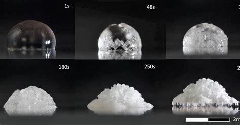 Salt crystal grows legs | News | RSC Education