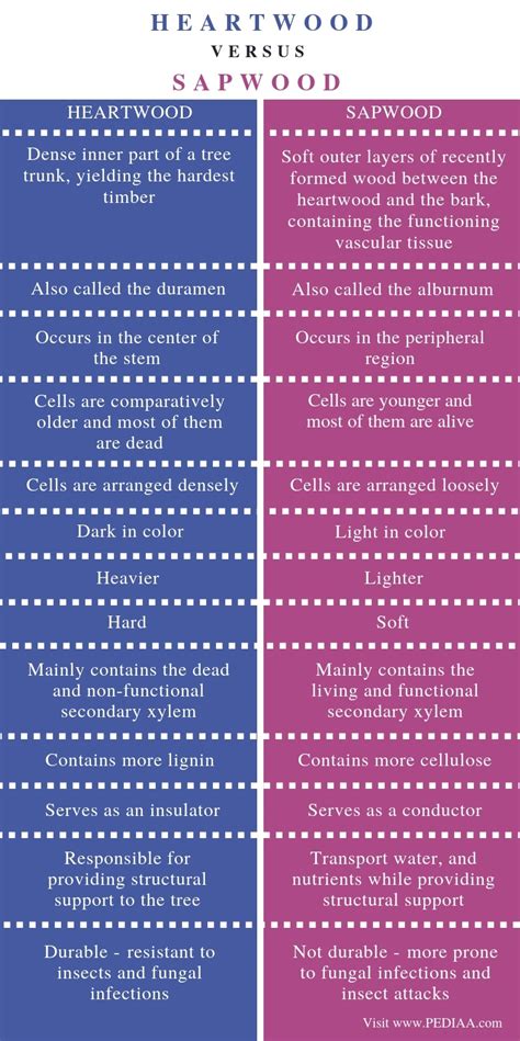 What is the Difference Between Heartwood and Sapwood - Pediaa.Com