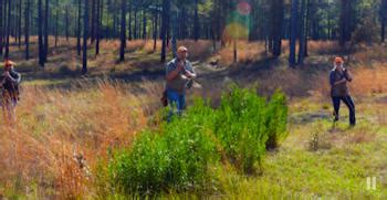 Southern Woods Plantation, Hunting in Southwest Georgia, quail, deer, turkey