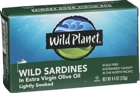 Sardines Nutrition: Why You Should Eat Them Each Day - Ashley N Cline