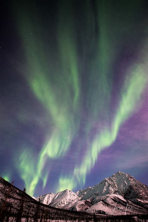 Aurora Photography Workshop - Arctic Circle Alaska. | Photos by Jess Lee