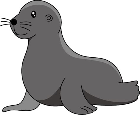 Harbor Seal PNG Images Transparent Free Download