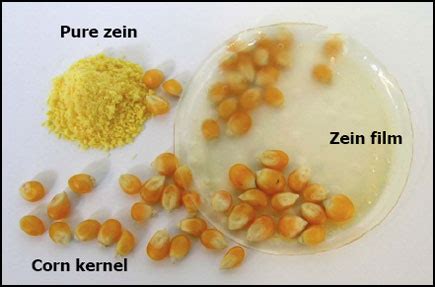 GPP - Zein: A natural Biopolymer from a Renewable Resource