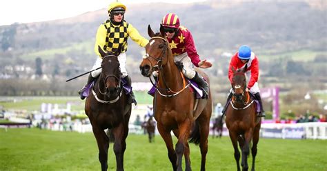 Five-day Cheltenham Festival considered for 2023 with Gold Cup to ...