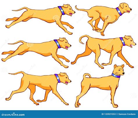 Dog Running and Walking Animation Set Stock Illustration - Illustration ...