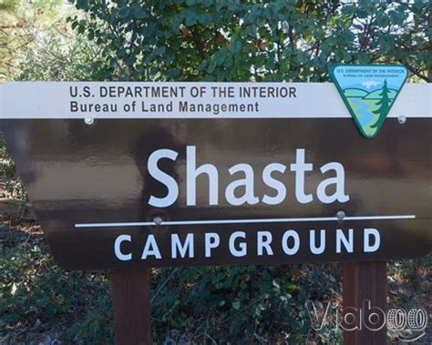 Shasta Campground