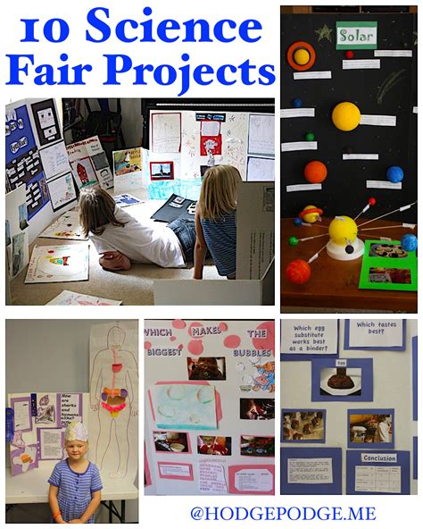 10 Science Fair Project Ideas - Your BEST Homeschool