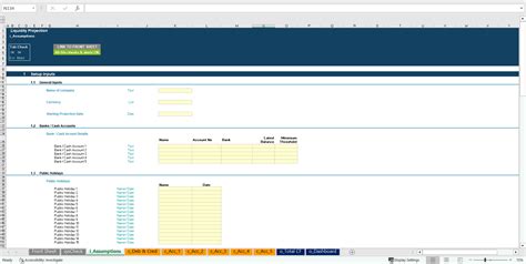 Excel Template: Daily Financial Liquidity Projection Excel Model (Excel template XLSX) | Flevy